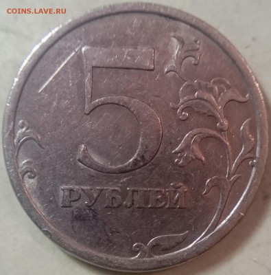 Определение разновидностей от Корс. - шт.4р.JPG