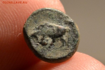 Антика.город Гамбрион-Мизия Малая Азия. - CSC_0990.JPG