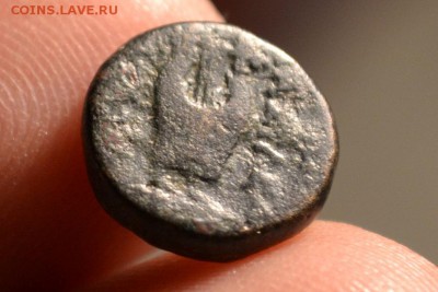 Антика.город Колофон 375-330 год до н.э. - CSC_1017.JPG