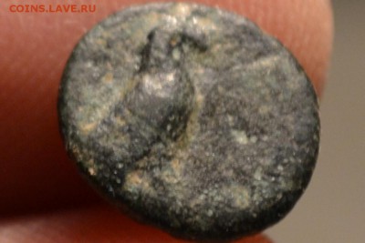 Антика.город Кима. 320-250 год до н.э. - CSC_0982.JPG
