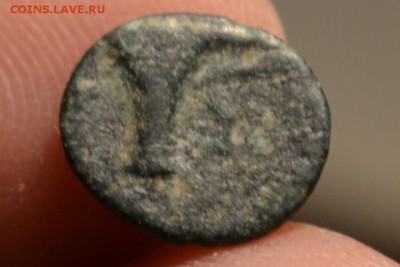 Антика.город Кима. 320-250 год до н.э. - CSC_0981.JPG