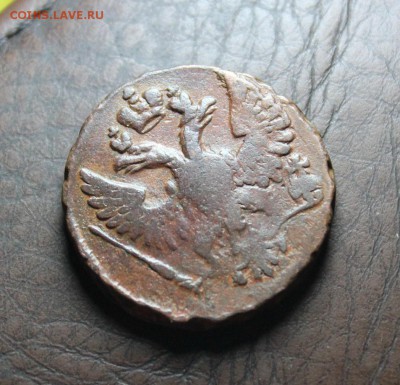 денга 1748. кладовая до 25.02.17 - IMG_1212.JPG