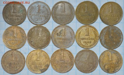 ранние копейки - DSC_0877.JPG
