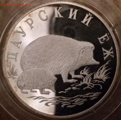 1 рубль 1999, Даурский еж (фикс) - IMG_20170223_232850