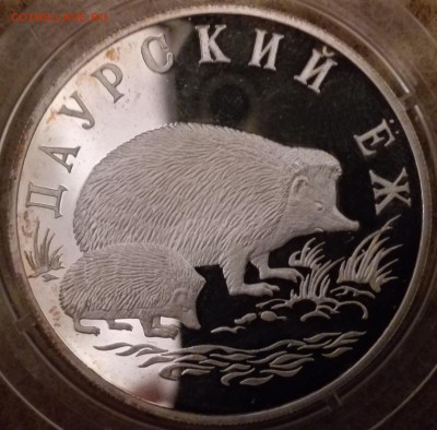 1 рубль 1999, Даурский еж (фикс) - IMG_20170223_232833