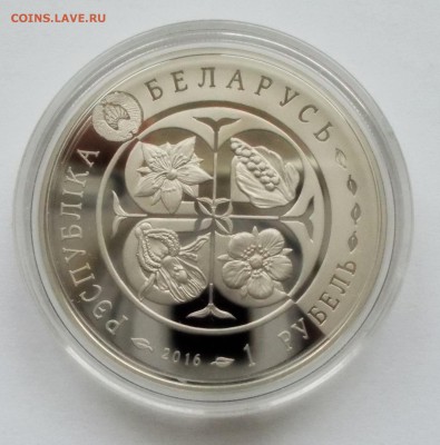 1 рубль 2016 Беларусь "Надбородник" до 26.02 - DSCN7583.JPG