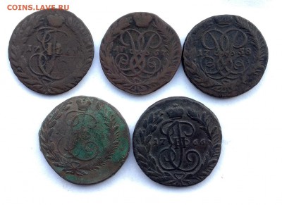 Двух копеечники Екатерины. - FullSizeRender (62)