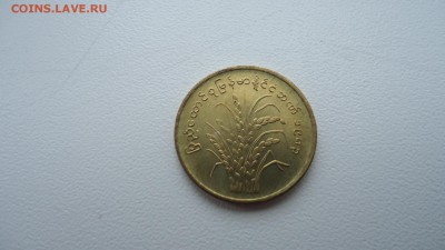 БИРМА 10 ПЬЯ ФАО 1983 ДО 02.03 22:00 МСК - DSC03970.JPG