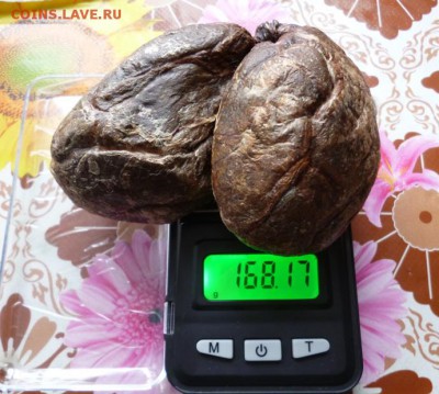 БОБРОВАЯ СТРУЯ, фикс. - 2С.JPG