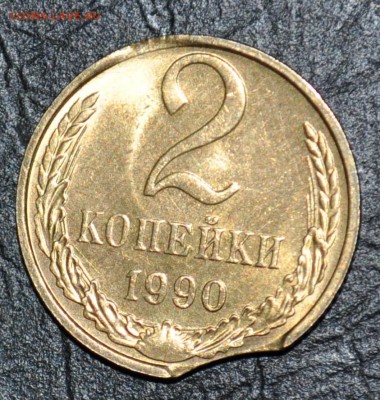 мешковая - DSC_0074.JPG