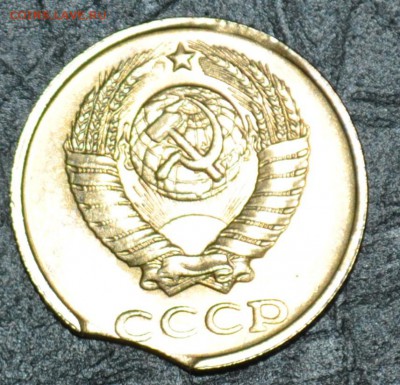 мешковая - DSC_0075.JPG