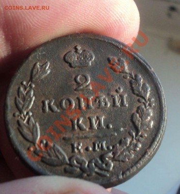 2 копейки 1826,29(ем-ик)+бонус до 30.1.11 22.00 МСК - DSC02730.JPG