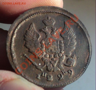 2 копейки 1826,29(ем-ик)+бонус до 30.1.11 22.00 МСК - DSC02729.JPG