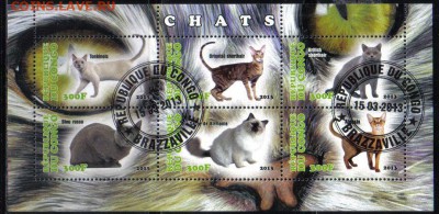 Конго 2013г мл Кошки №1 до 27.02 22.00мск - Конго 2013г мл Кошки №1