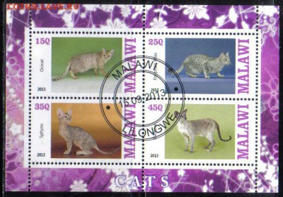 Малави 2013г мл Кошки №1 до 27.02 22.00мск - Малави 2013г мл Кошки №1