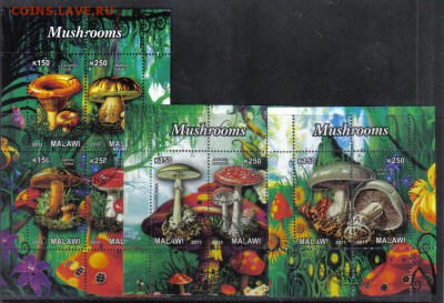 Малави 2011г 3 мл Грибы до 27.02 22.00мск - Малави 2011г 3 мл Грибы