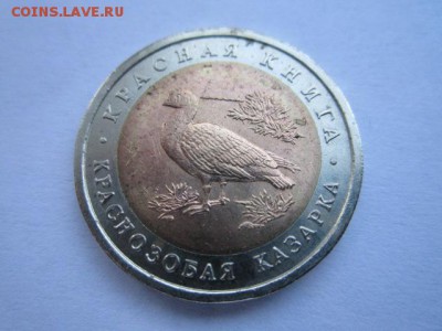 с 200 кк 1992 Казарка до 02.03.2017 в 22:30 - IMG_2519.JPG