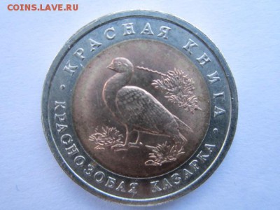 с 200 кк 1992 Казарка до 02.03.2017 в 22:30 - IMG_2517.JPG