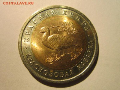 с 200 кк 1992 Казарка до 02.03.2017 в 22:30 - IMG_2543.JPG