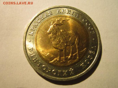 с 200 кк 1991 Козел до 02.03.2017 в 22:30 - IMG_2541.JPG