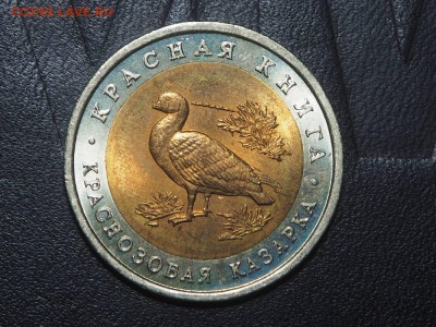 КК 10 рублей 1992 краснозобая казарка до 28.02.17 в 22.00 - P2257246_thumb