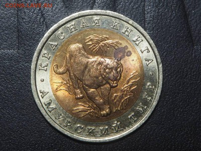 КК 10 рублей 1992 Амурский тигр до 28.02.17 в 22.00 - P2267280_thumb