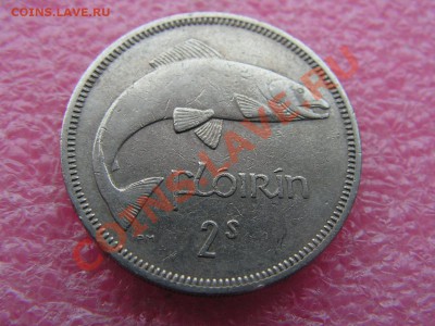 -Ирландия- 2 шиллинга 1966 рыба -- 29 января 20-00 - 1 флорин 1966.JPG