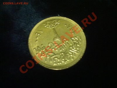 помогите please... - 29012011140