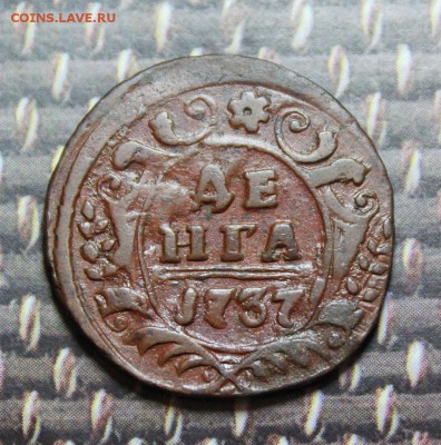 денга 1737 кладовая до 1.03.17 - IMG_1286.JPG