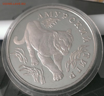 1рубль Амурский тигр 1993год Оценка - IMAG3224_1