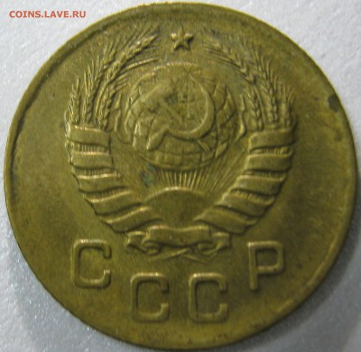 ФОТО ПОД ЛАМПОЙ - IMG_1924.JPG