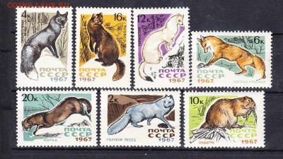СССР 1967 пушные звери - 255