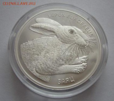 Беларусь, 20 рублей Заяц до 02.03 22.00 - 1540995355