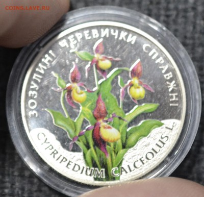 Украина 2грн Зозулины черевички с 200 до 06.03.17 22.00 - _DSC0537.JPG