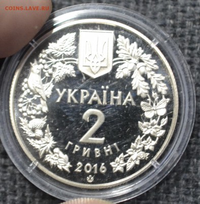 Украина 2грн Зозулины черевички с 200 до 06.03.17 22.00 - _DSC0538.JPG