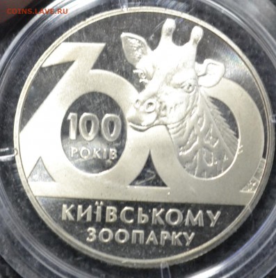 Украина 2грн Киевский зоопарк с 200 до 06.03.17 22.00 - _DSC0535.JPG