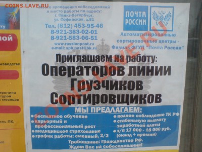 Зп у почтарей - DSC00628.JPG