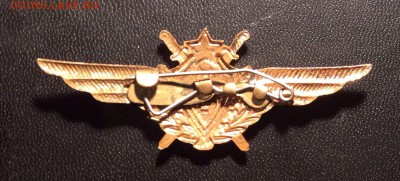 Знак классности и 3 знака досааф - image