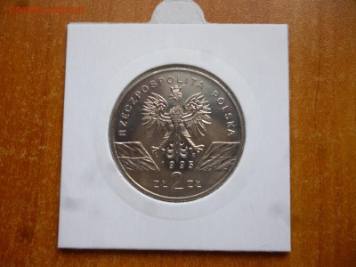 Польша на оценку - P1050232.JPG