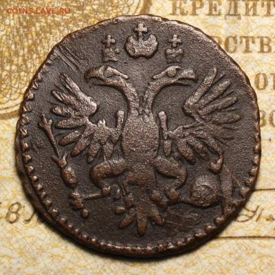 Полушка 1730 год, ажурный орёл до 03.03.2017 в 22.00 - IMG_0747.JPG