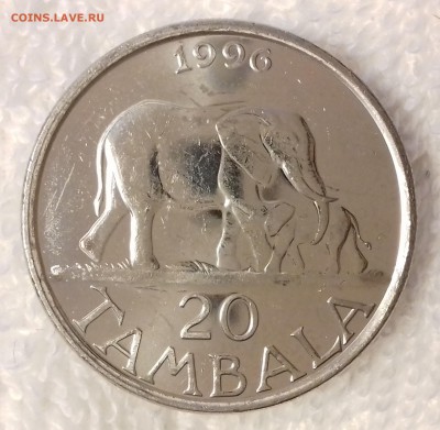 МАЛАВИ 20 тамбала 1996 Слоны aUNC до 6 мар. 22-00 мск - МАЛАВИ 20 тамбала 1996 -184-20170117_161844