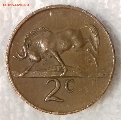ЮАР 2 цента 1978 Чёрный гну до 6 мар. 22-00 мск - ЮАР 2 цента 1978 -401-20170120_164311