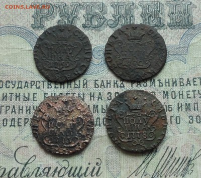 Сибирские полушки 4 монетки. До 5.03.17. - DSC04825.JPG