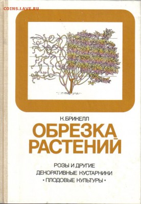 Обрезка растений: Розы и другие декоративные кустарники, пло - Обрезка растений-1