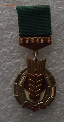 знак золотой колос,2 вида,ММД,тяжелые,до 6.03,в 22.00мск - DSCF5533.JPG