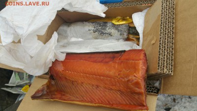 Кидок или подмена от morbid на 60000руб - 20170301_132517