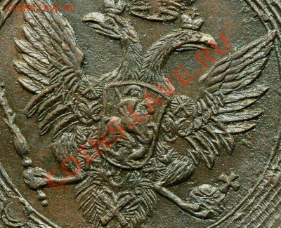 5 копеек 1806 ЕМ до 05 02 2011 в 21 00 мск - img101 - копия