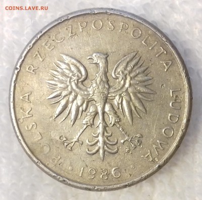 ПОЛЬША 10 злотых 1986 до 7 мар. 22-00 мск - ПОЛЬША 10 злотых 1986 -437-20170205_155635