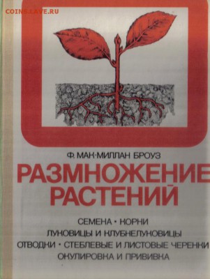 Размножение растений. Семена. Корни. Луковицы и клубнелукови - Размножение растений-1