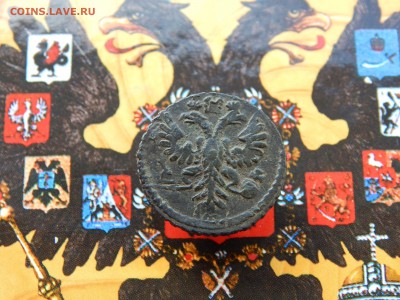 Полушка 1731 перечекан из крестовика до 11.03.2017 22-00 мск - DSCN9445.JPG